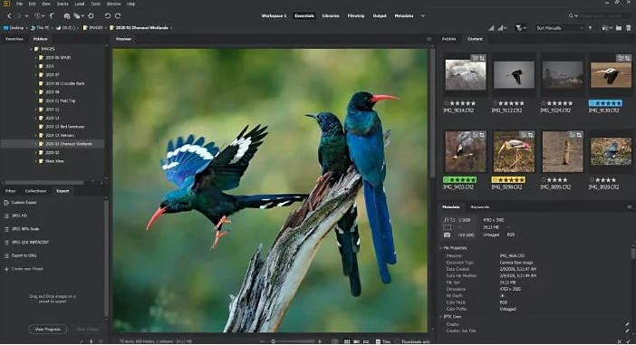 Adobe Bridge 版本合集【2025-2017】