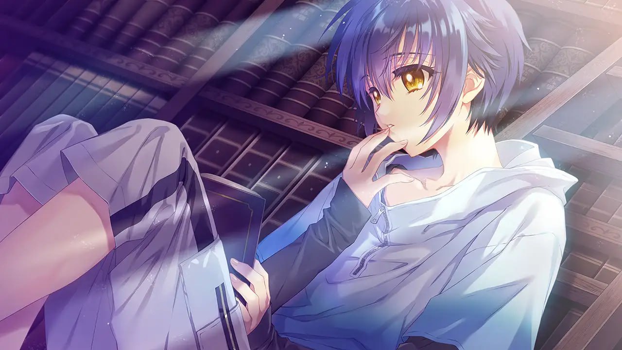 【ADV/PC】无颜之月 - 待宵的双椿