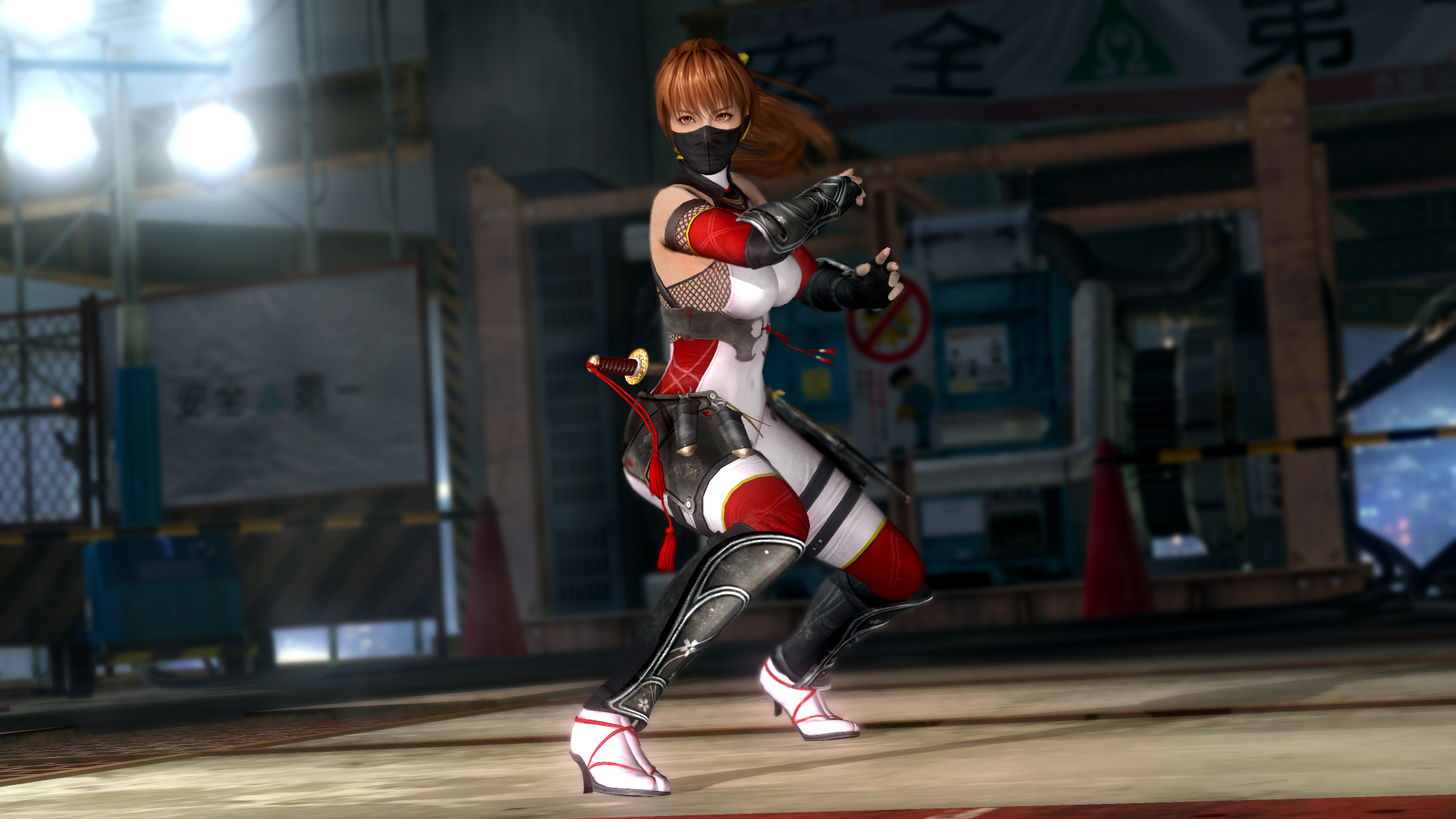 死或生5 终极一战 豪华中文 全DLC-支持手柄
