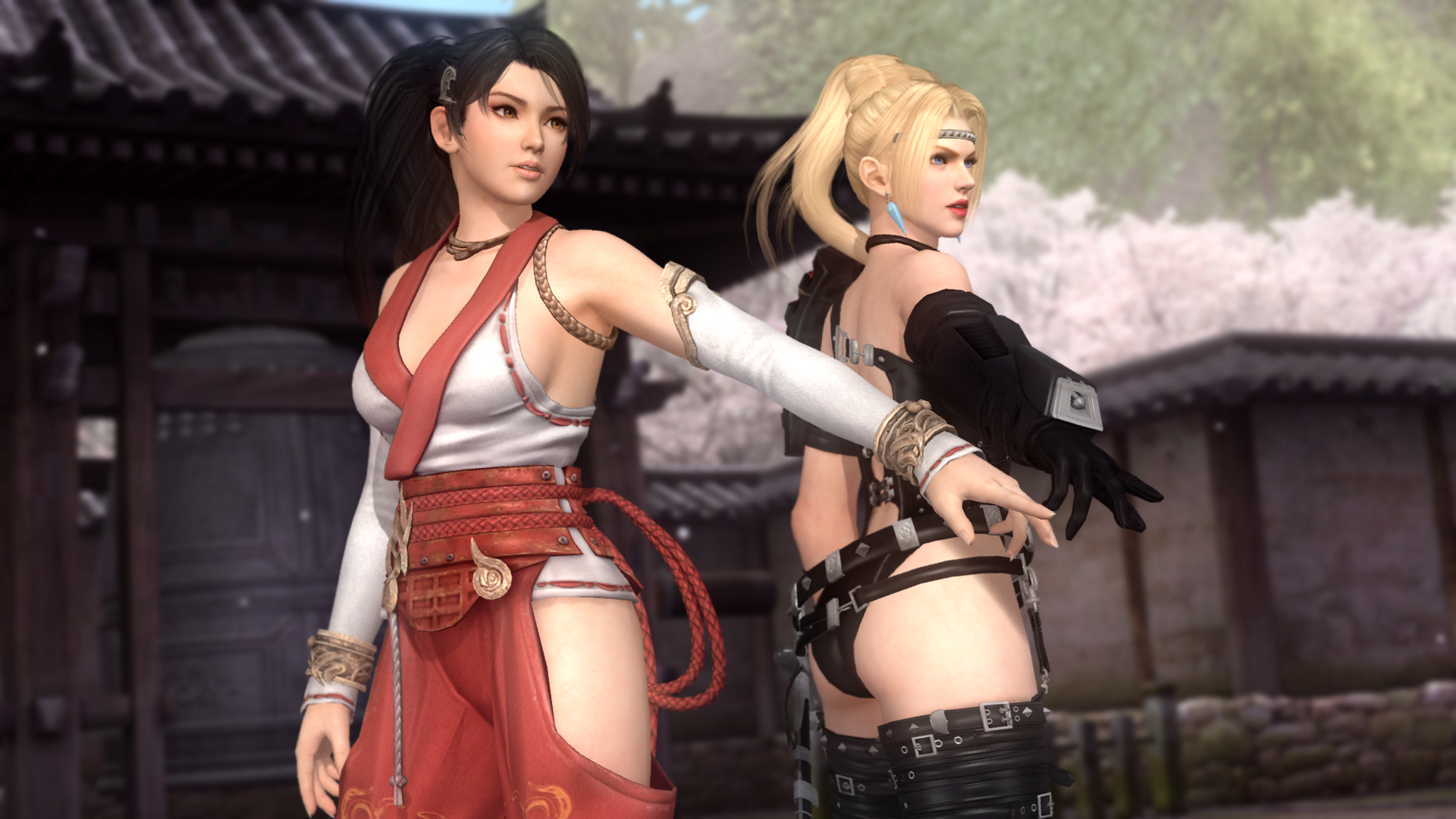 死或生5 终极一战 豪华中文 全DLC-支持手柄