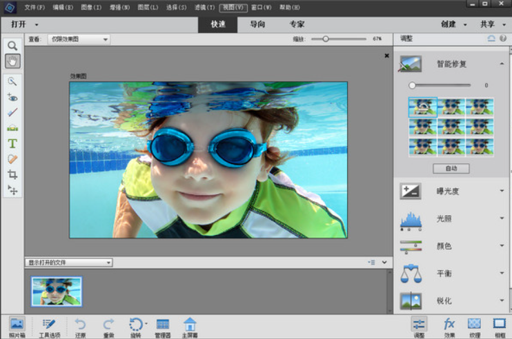 Adobe Photoshop Elements 版本合集【2024-2020】